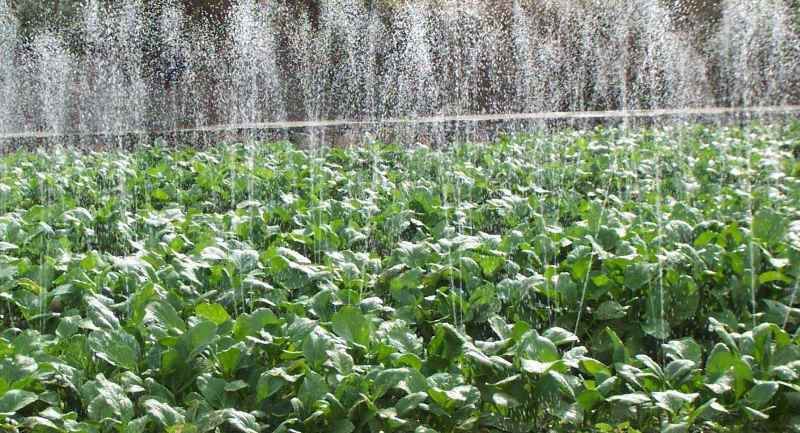 agricultural-micro-rain-pipe