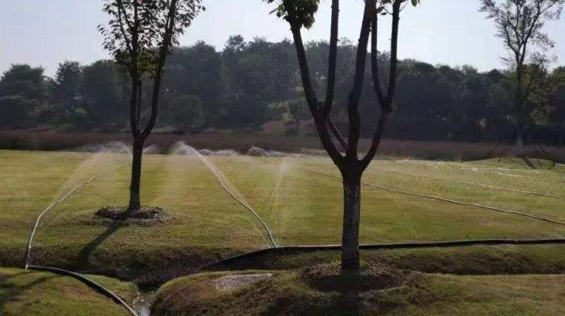 micro-rain-pipe-for-lawn-watering