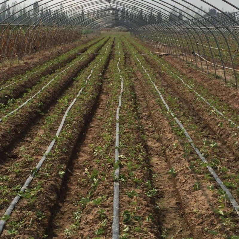 vegetable-garden-watering-system