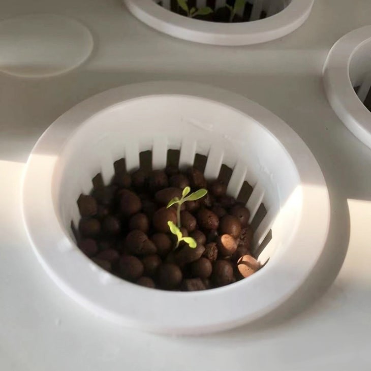 4-tier Hydroponic Garden Kit With LED Lights