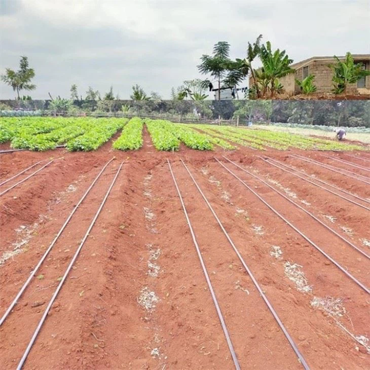 Drip Irrigation Kit For 1 Hectare