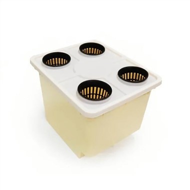 Gollandiyalik paqir gidroponik tizimi